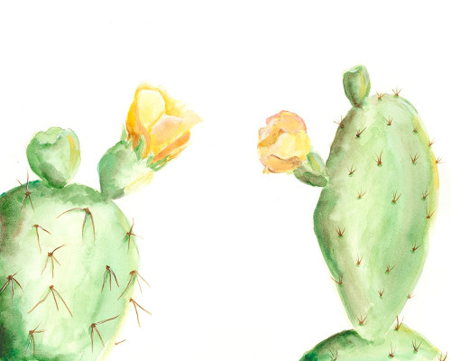 Spiny Desert Plants I Poster Print - Regina Moore
