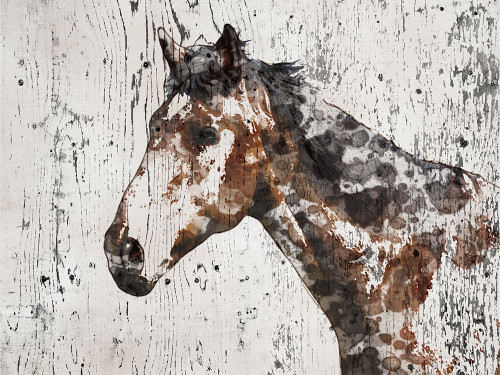 Galaxy Horse II Poster Print - Irena Orlov