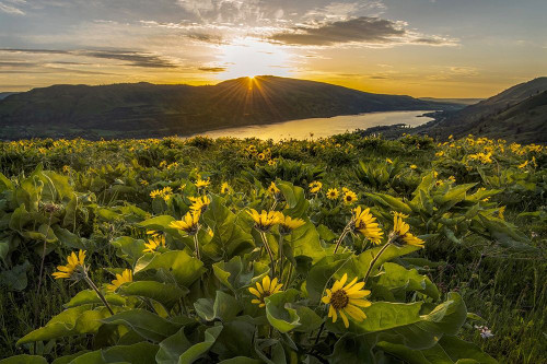 Wake Up Call Poster Print - Danny Head