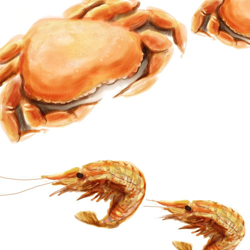 Illustrated Crab Poster Print - Rick Novak