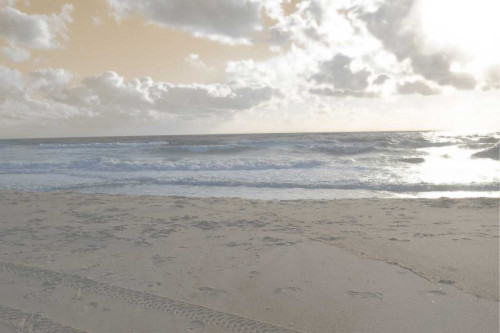 Serene Sea II Poster Print - Sharon Chandler