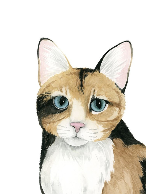 Cat Portrait II Poster Print - Grace Popp