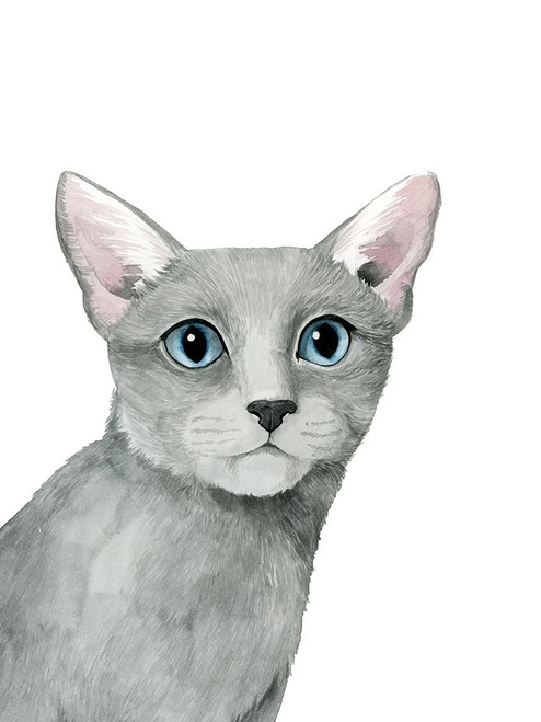 Cat Portrait I Poster Print - Grace Popp