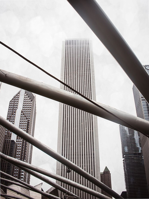 Chicago Monotone III Poster Print - Sonja Quintero