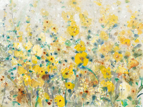 Cheerful Garden II Poster Print - Tim OToole