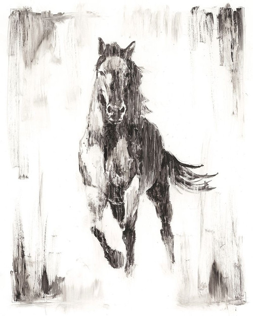 Rustic Black Stallion II Poster Print - Ethan Harper
