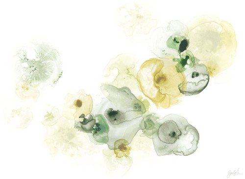 Rock Lichen I Poster Print - June Erica Vess