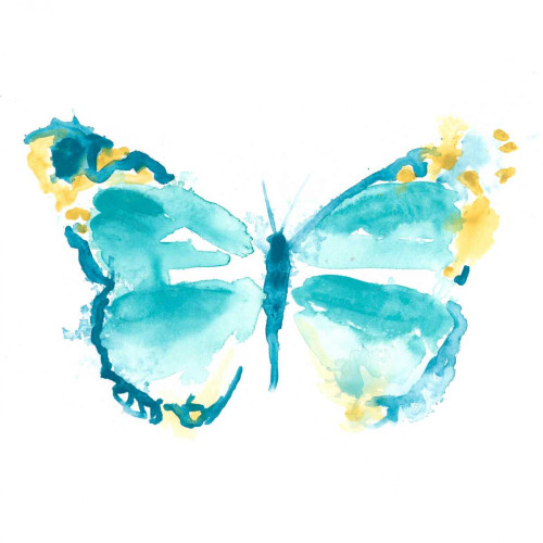 Butterfly Traces IV Poster Print - June Erica Vess