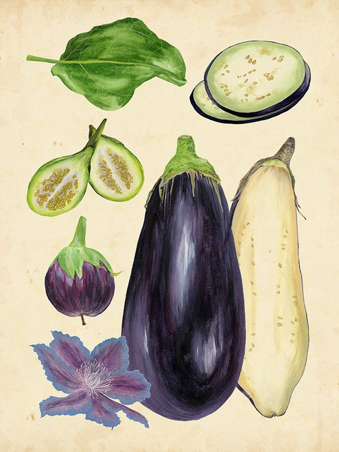 Aubergine Study II Poster Print - Melissa Wang