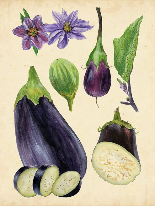Aubergine Study I Poster Print - Melissa Wang