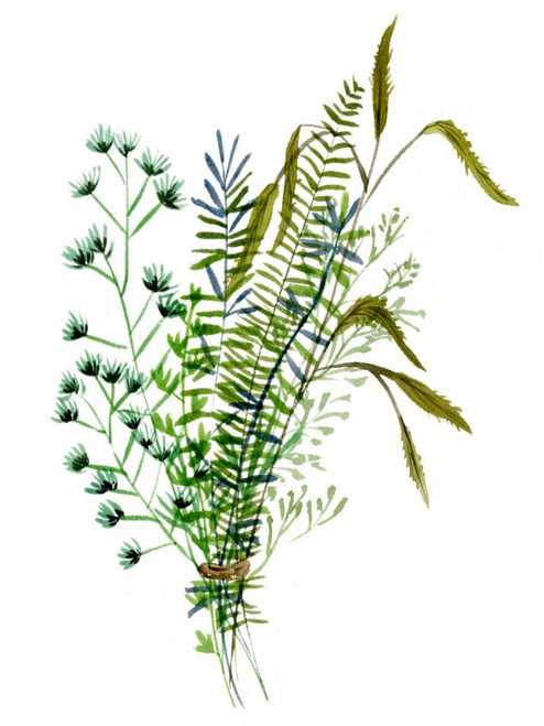 Green Bouquet II Poster Print - Melissa Wang