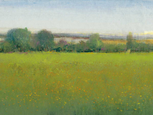 Verdant Countryside II Poster Print - Tim OToole
