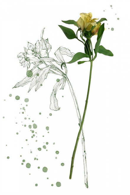 Botany Flower I Poster Print - Melissa Wang