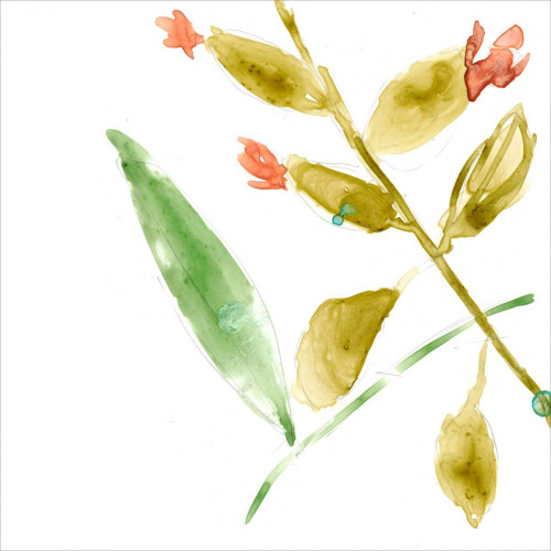 Tropical Display VIII Poster Print - Jennifer Goldberger