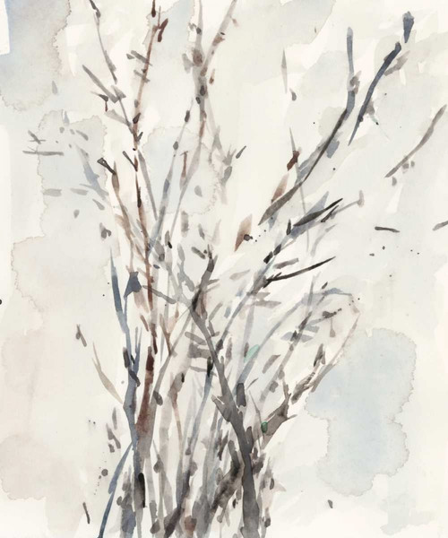 Watercolor Branches I Poster Print - Samuel Dixon