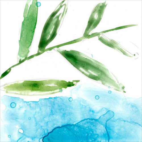 Tropical Display IX Poster Print - Jennifer Goldberger