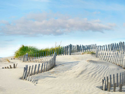 Beachscape III Poster Print - James McLoughlin