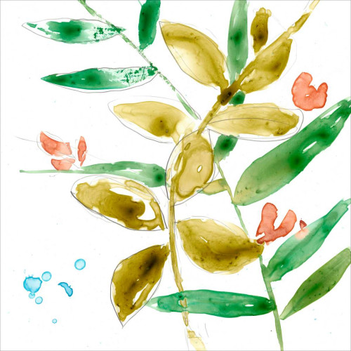 Tropical Display V Poster Print - Jennifer Goldberger