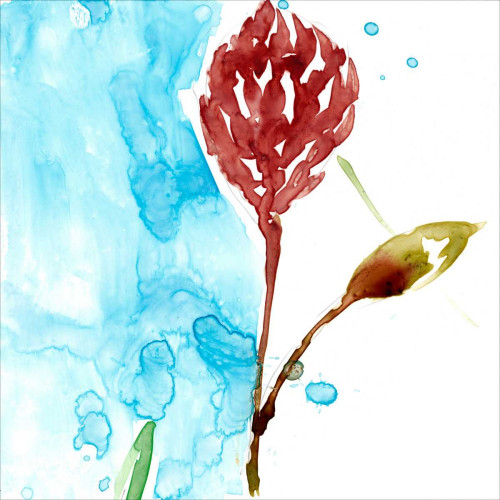 Tropical Display VI Poster Print - Jennifer Goldberger