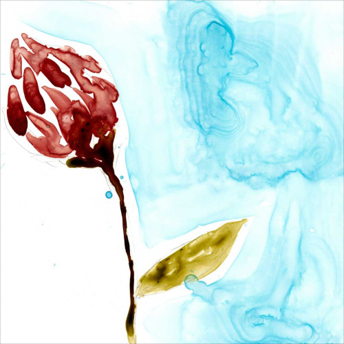 Tropical Display II Poster Print - Jennifer Goldberger