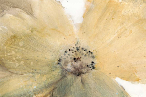 Floral Spirit IV Poster Print - Tim OToole