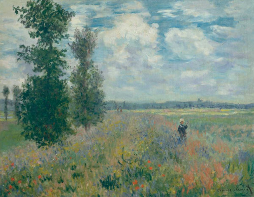 Poppy Fields near Argenteuil Poster Print - Claude Monet
