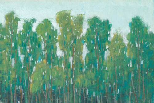 Forest Green II Poster Print - Tim OToole