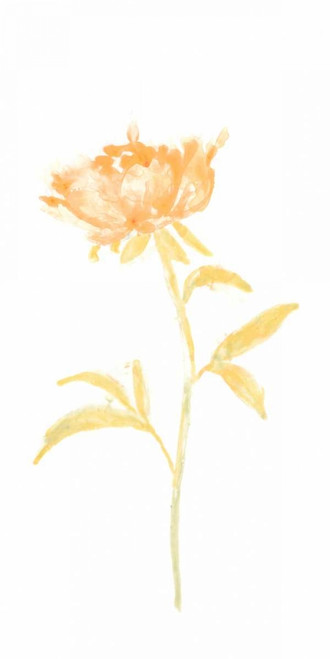 Bouquet Blush II Poster Print - June Erica Vess