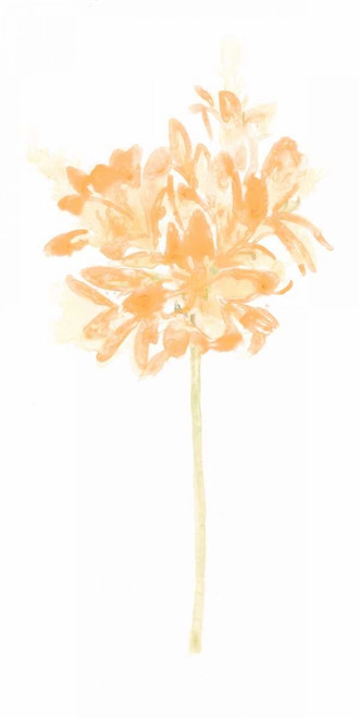 Bouquet Blush VI Poster Print - June Erica Vess