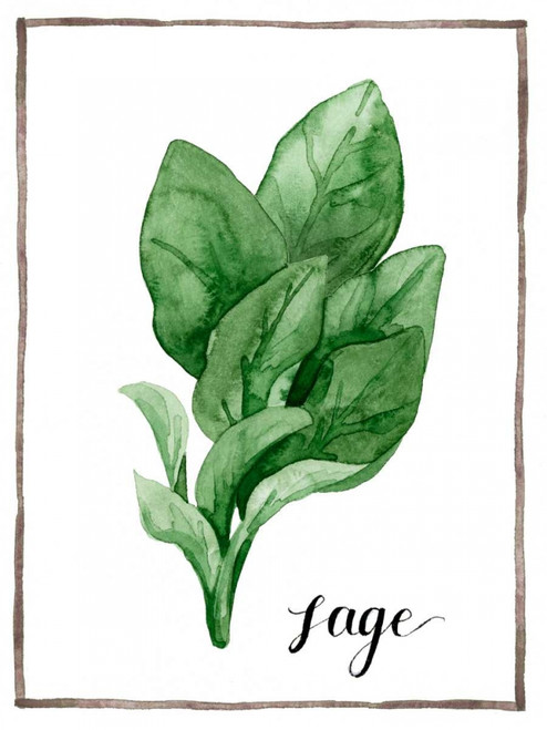 Watercolor Herbs VI Poster Print - Grace Popp