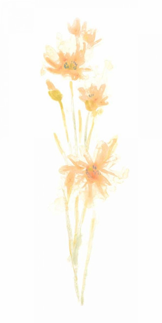 Bouquet Blush III Poster Print - June Erica Vess