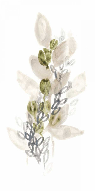 Botanica Whimsy III Poster Print - June Erica Vess