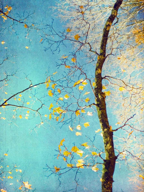 Autumn Tapestry III Poster Print - Judy Stalus