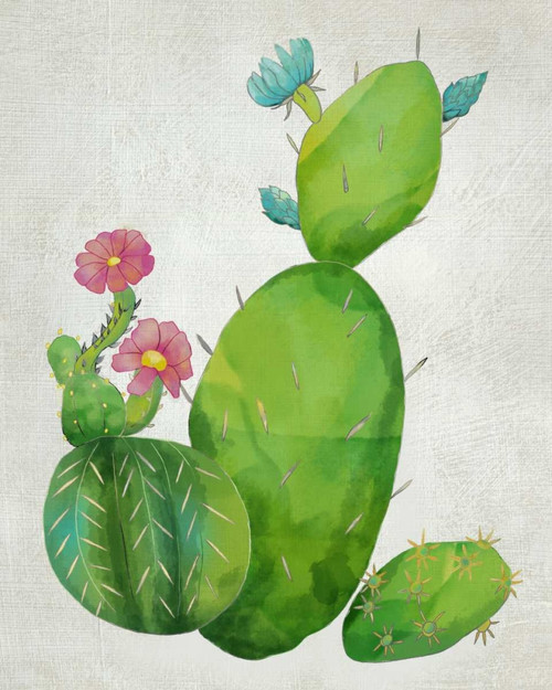 Cacti Collection I Poster Print - Chariklia Zarris