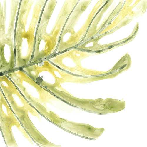 Verdant Impressions IX Poster Print - June Erica Vess