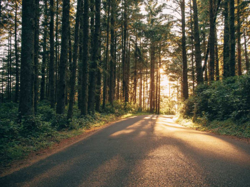 Pacific Northwest Oregon III Poster Print - Adam Mead