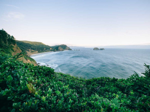 Pacific Northwest Oregon V Poster Print - Adam Mead