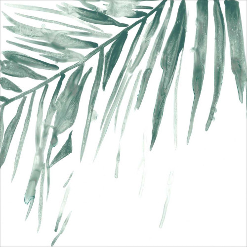 Verdant Impressions VIII Poster Print - June Erica Vess