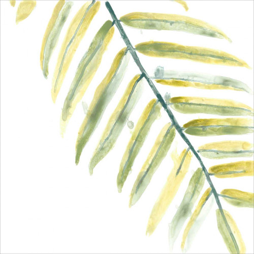 Verdant Impressions III Poster Print - June Erica Vess