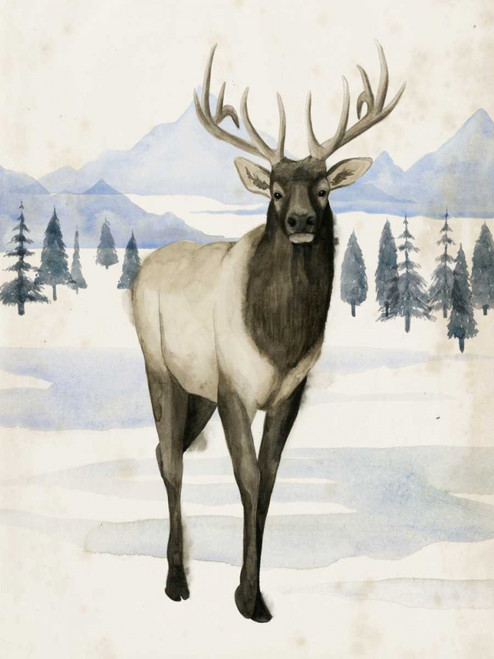 Alaskan Wilderness II Poster Print - Grace Popp
