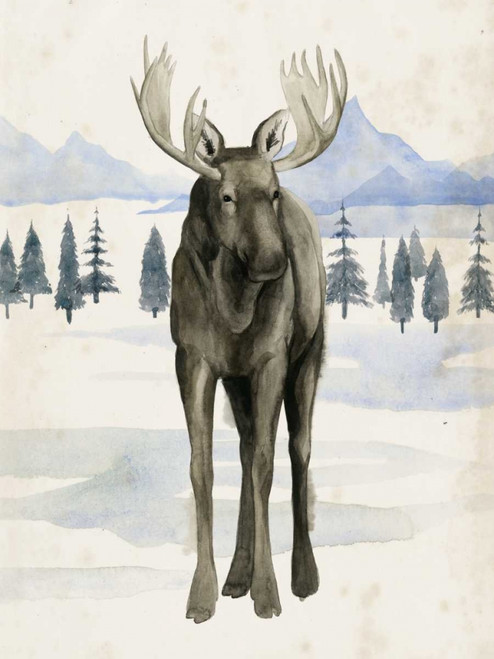 Alaskan Wilderness I Poster Print - Grace Popp