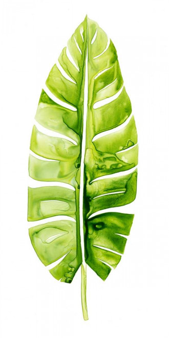 Banana Leaf Study II Poster Print - Grace Popp