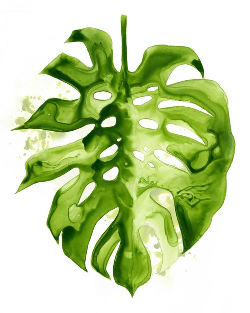 Monstera II Poster Print - Grace Popp