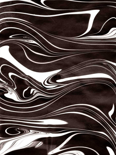 Yinyang I Poster Print - Alicia Ludwig