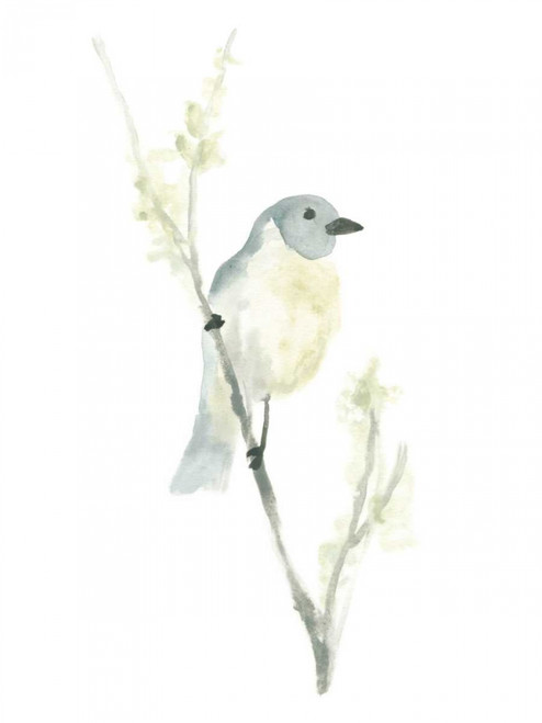 Avian Impressions III Poster Print - June Erica Vess