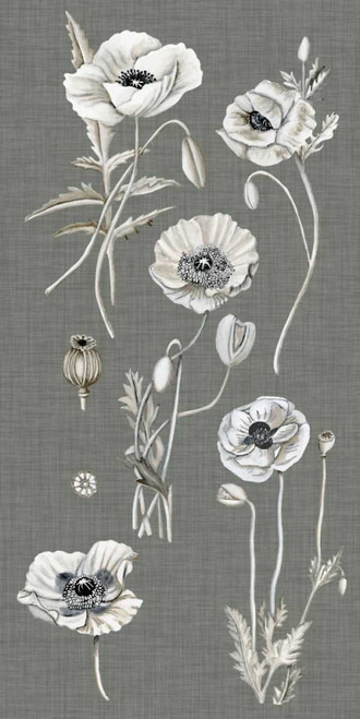 Poppy Array I Poster Print - Naomi McCavitt