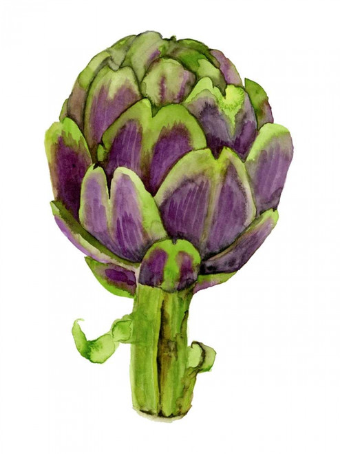 Watercolor Veggie I Poster Print - Naomi McCavitt