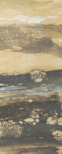 Terre Umber III Poster Print - Jennifer Goldberger