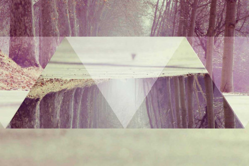 Path Poster Print - Melissa Wang