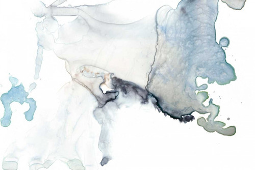 Bloom Cloud II Poster Print - Jennifer Goldberger